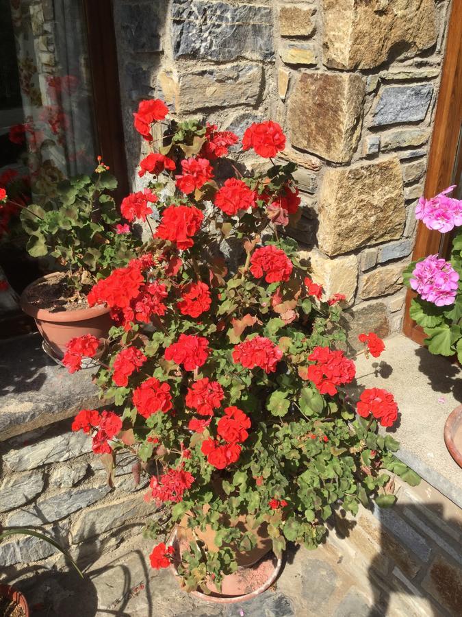 Hostal El Quinta Espinavell Екстериор снимка